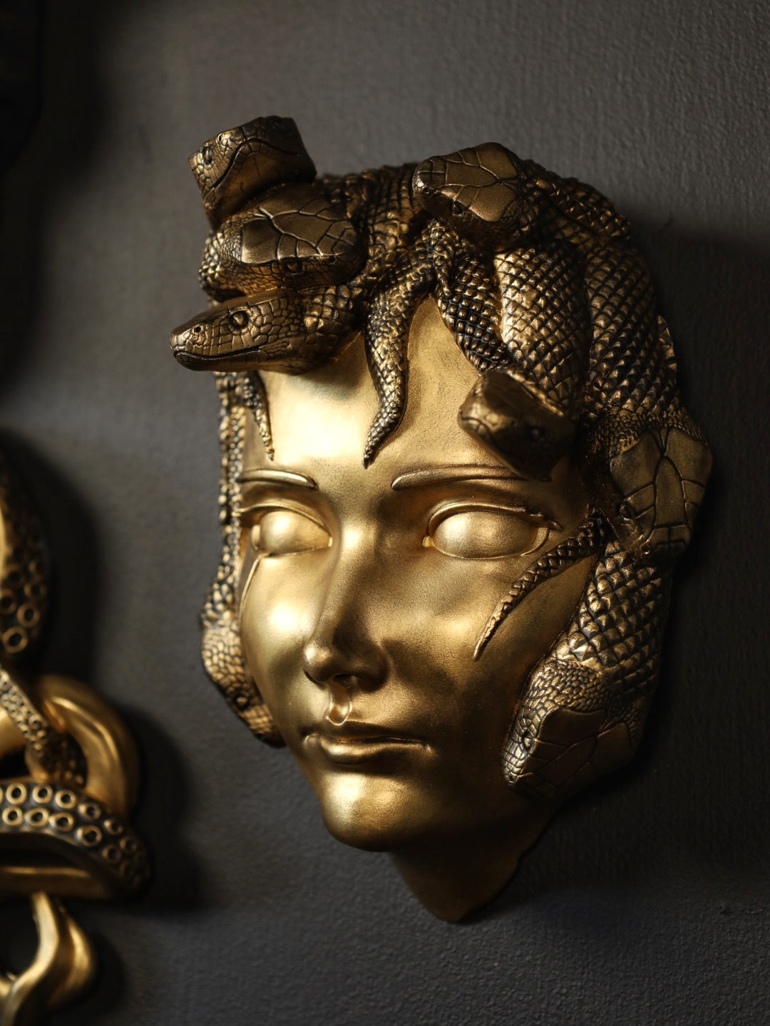 Medusa Wall Hanging