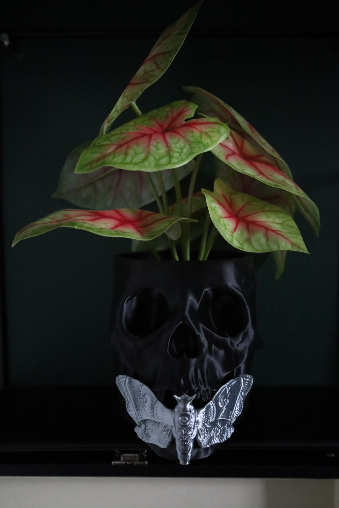 Small Death Moth Desk Planter