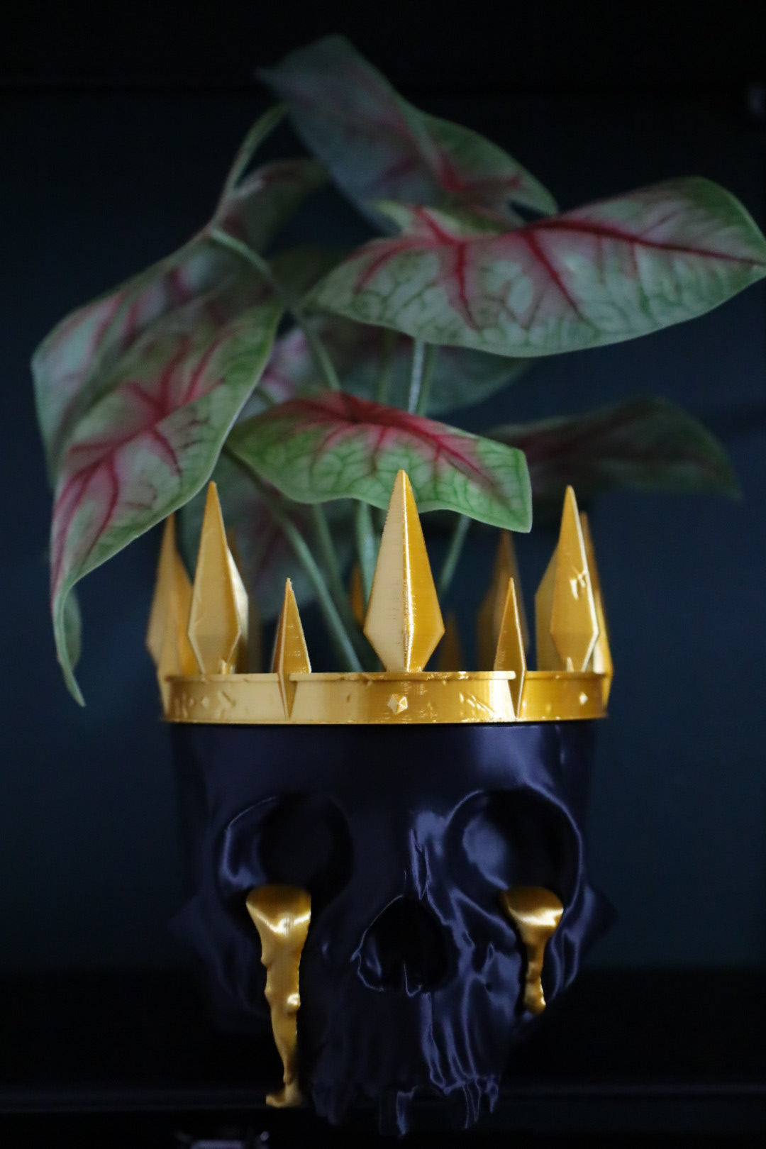 Black and gold skull planter to express your alt aesthetic