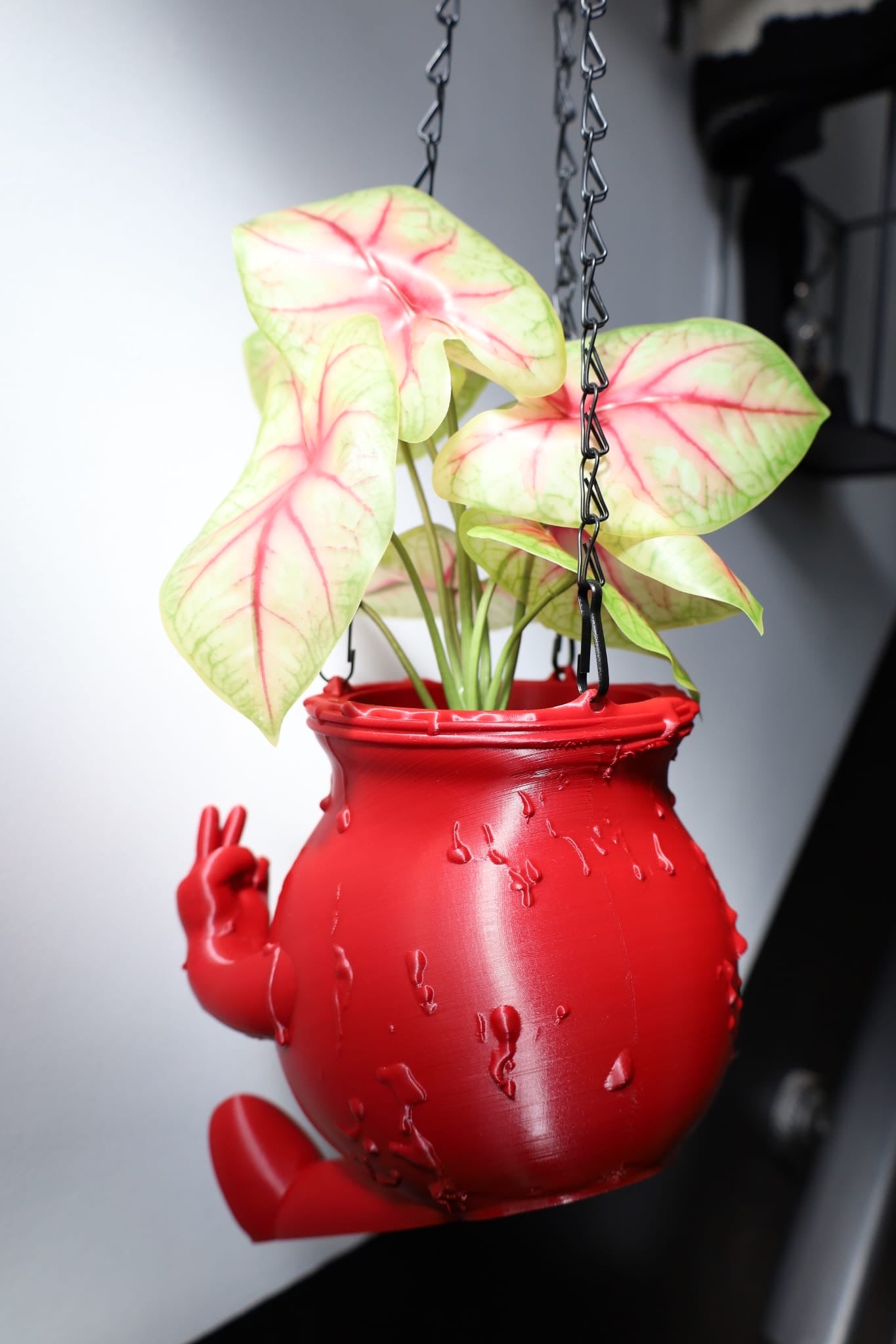 Kool-Aid Hanging Planter