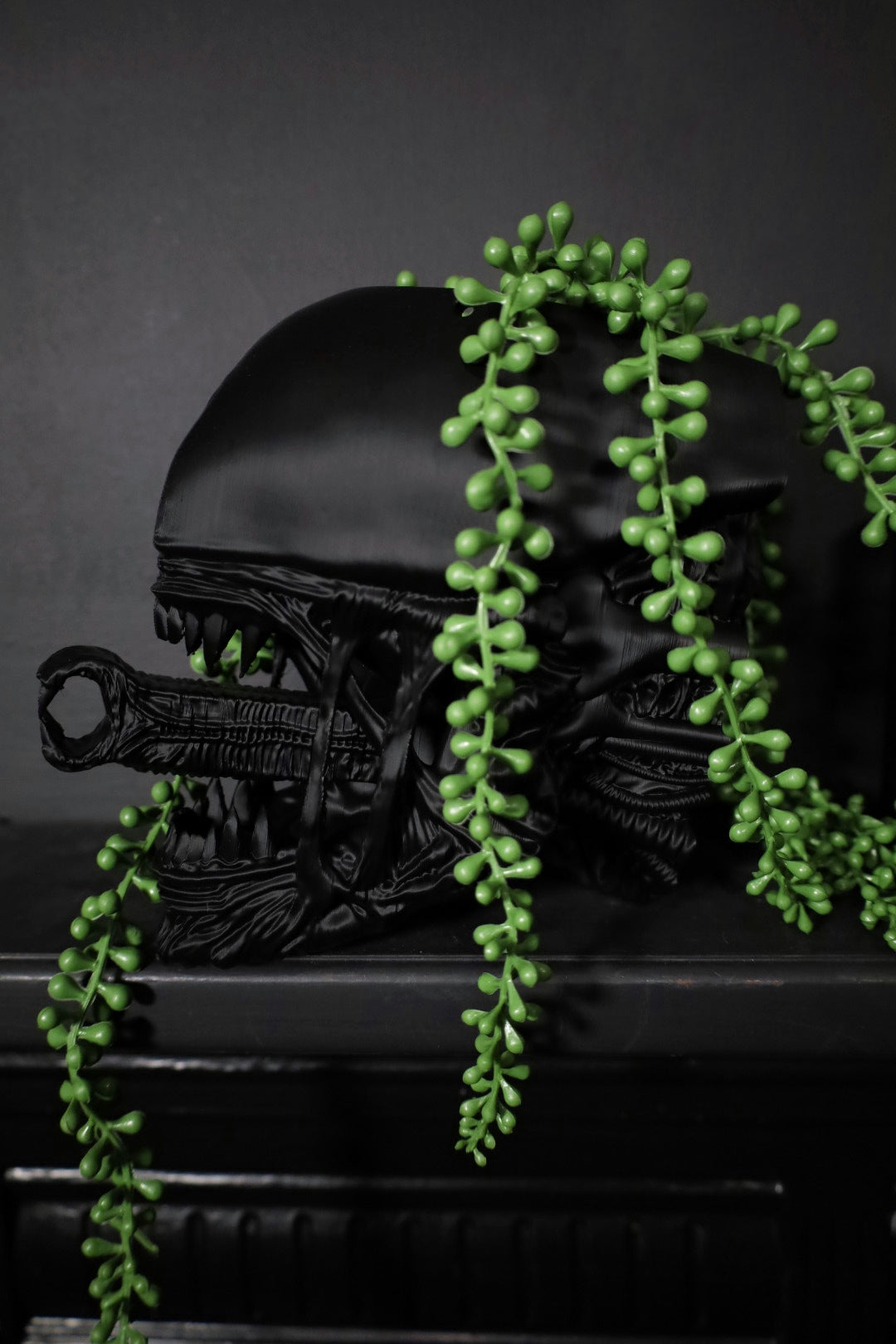 The Perfect Specimen Desk Planter