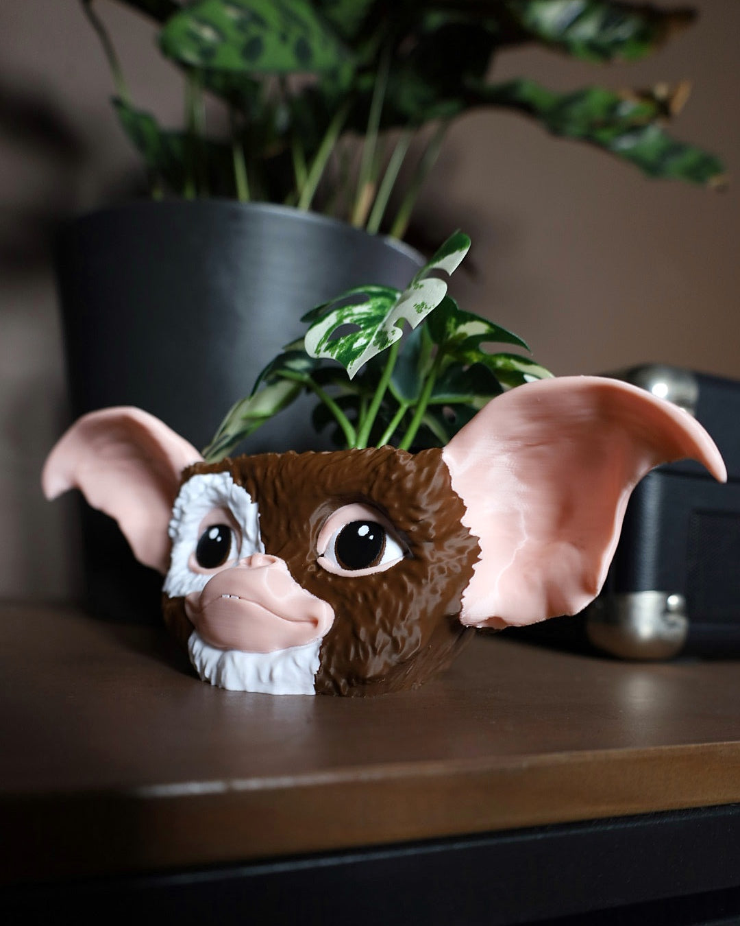 Gizmo from Gremlins plant pot on a wooden surface with a plant in the background