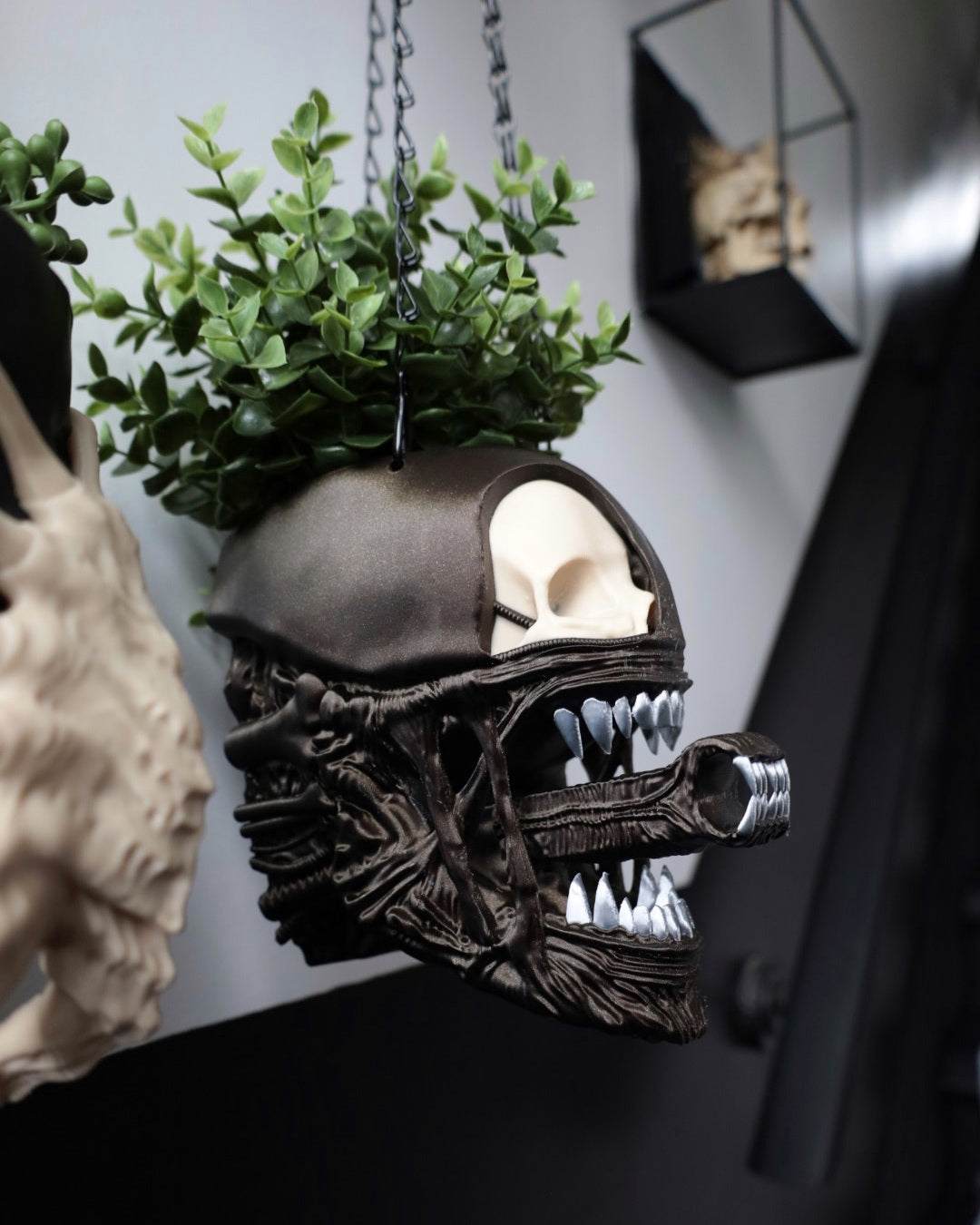 The Perfect Specimen Planters