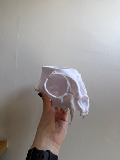 SECONDS #39 - White Cat Skull Planter