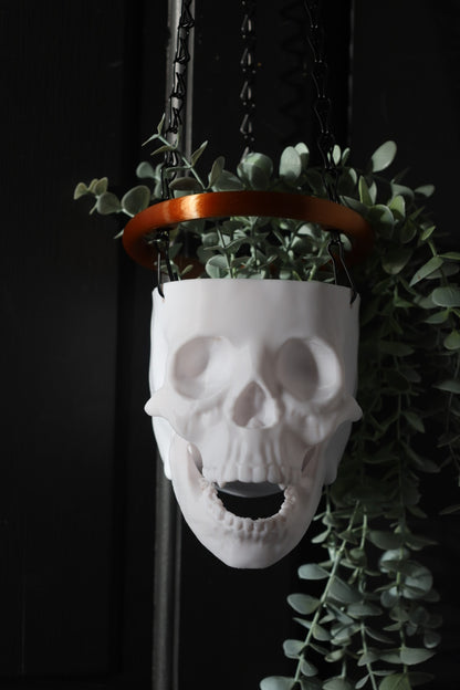 Halo Skull Hanging Planter