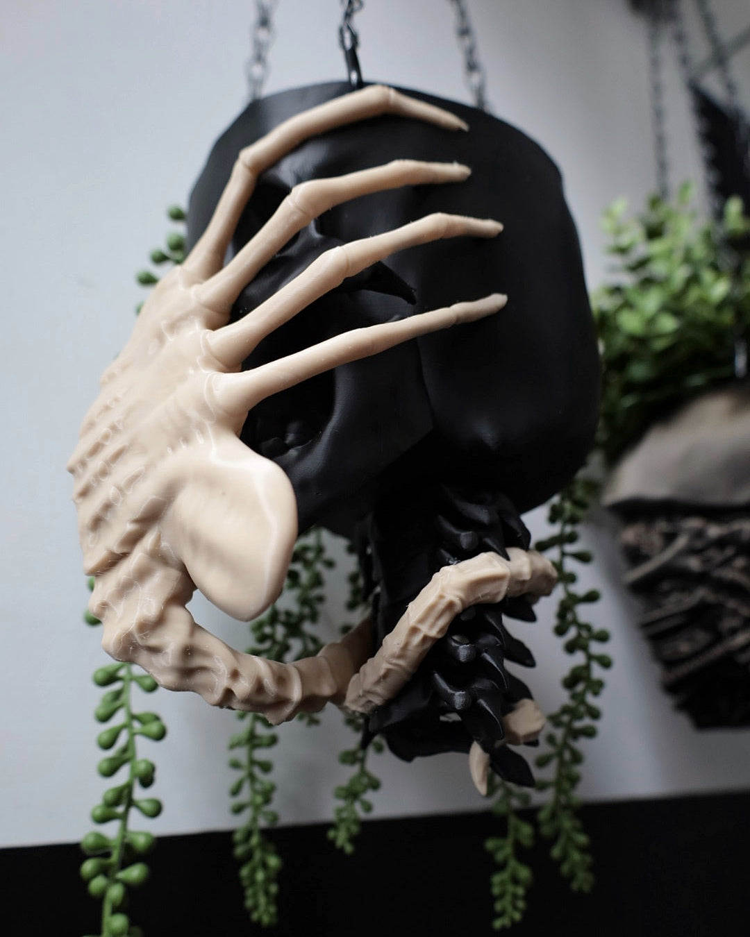 Manumala Noxhydria (facehugger) Hanging Planter