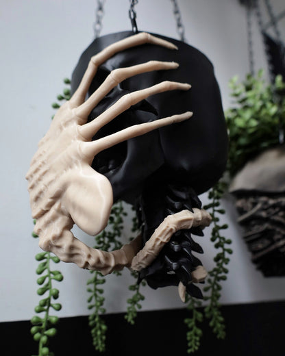 Manumala Noxhydria (facehugger) Hanging Planter