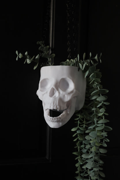 Skull Hanging Planter