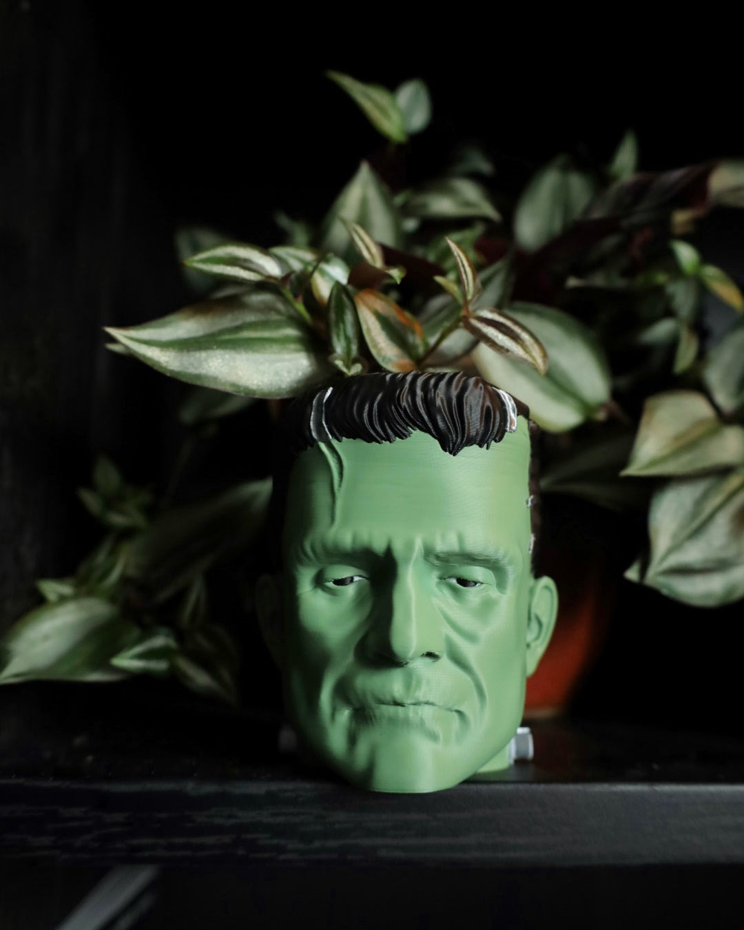Frankenstein Planters