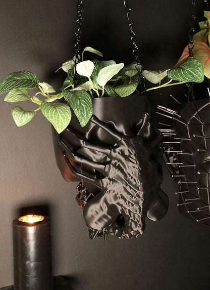 Manumala Noxhydria (facehugger) Hanging Planter