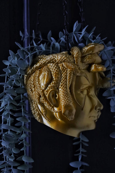 Medusa Hanging Planter