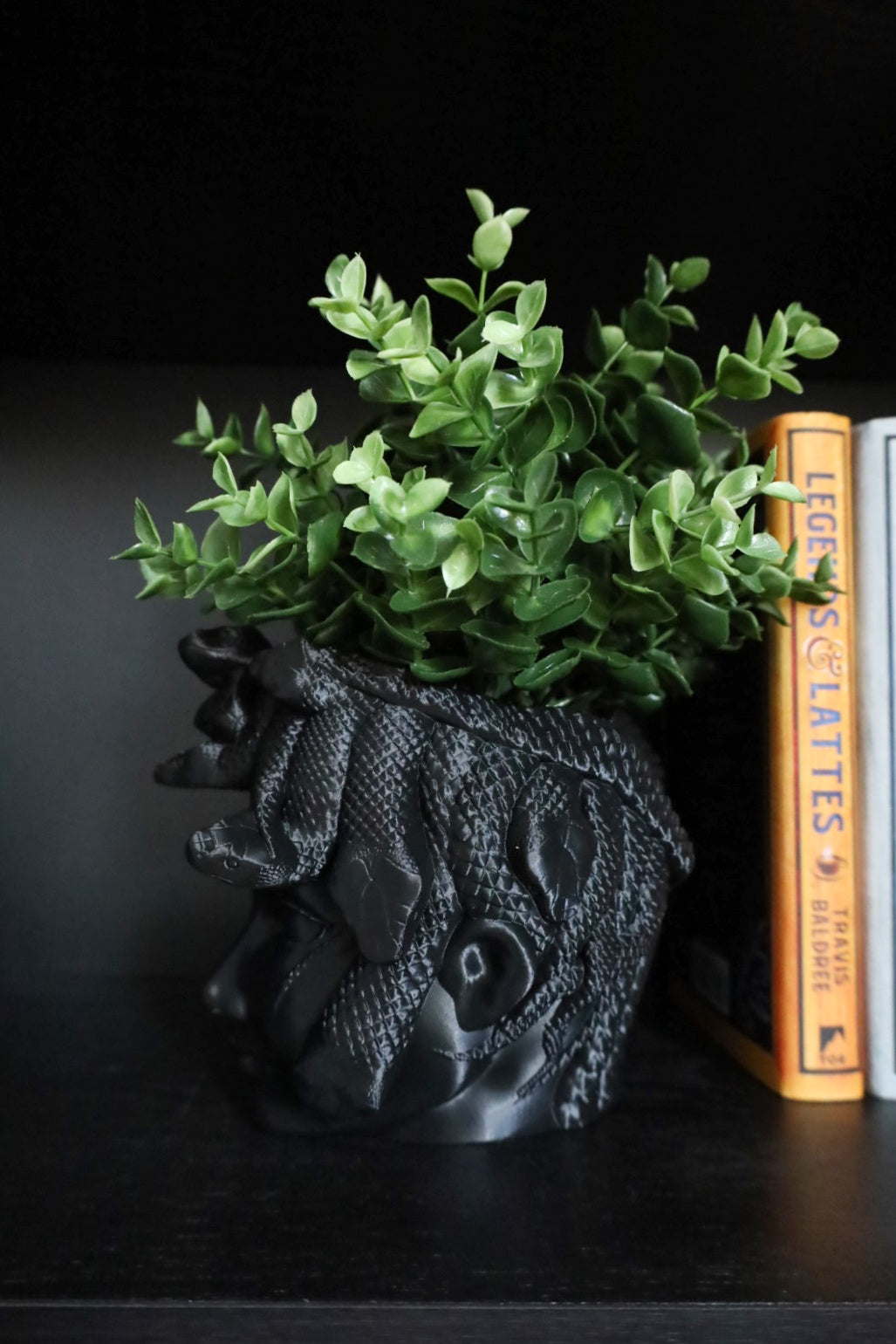 Medusa Planters