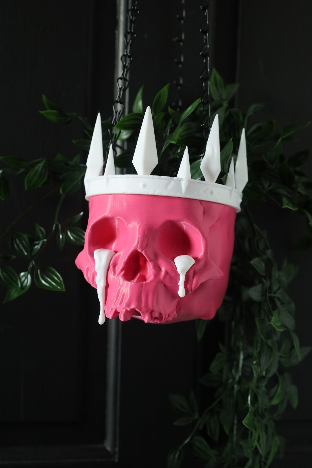 King Of Mayhem Hanging Planter