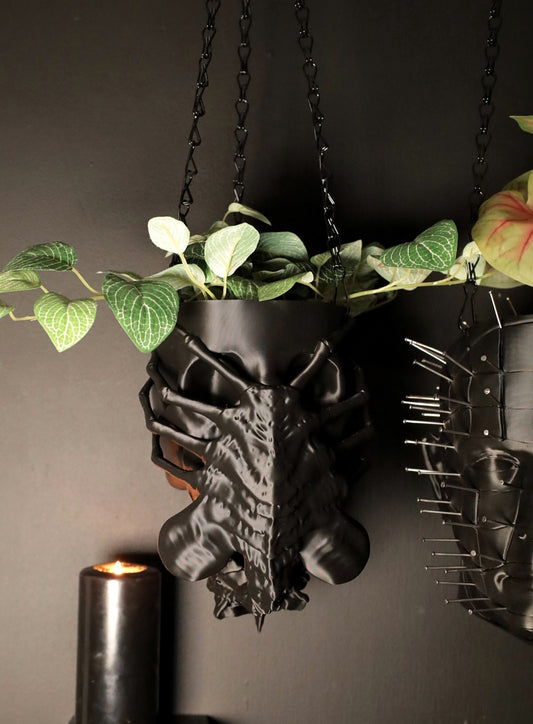 Manumala Noxhydria (facehugger) Hanging Planter