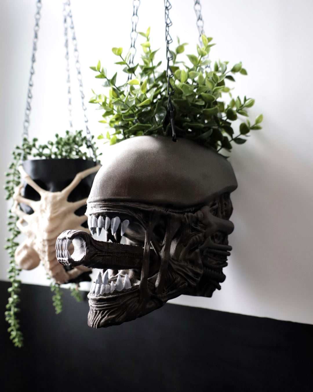 The Perfect Specimen Planters