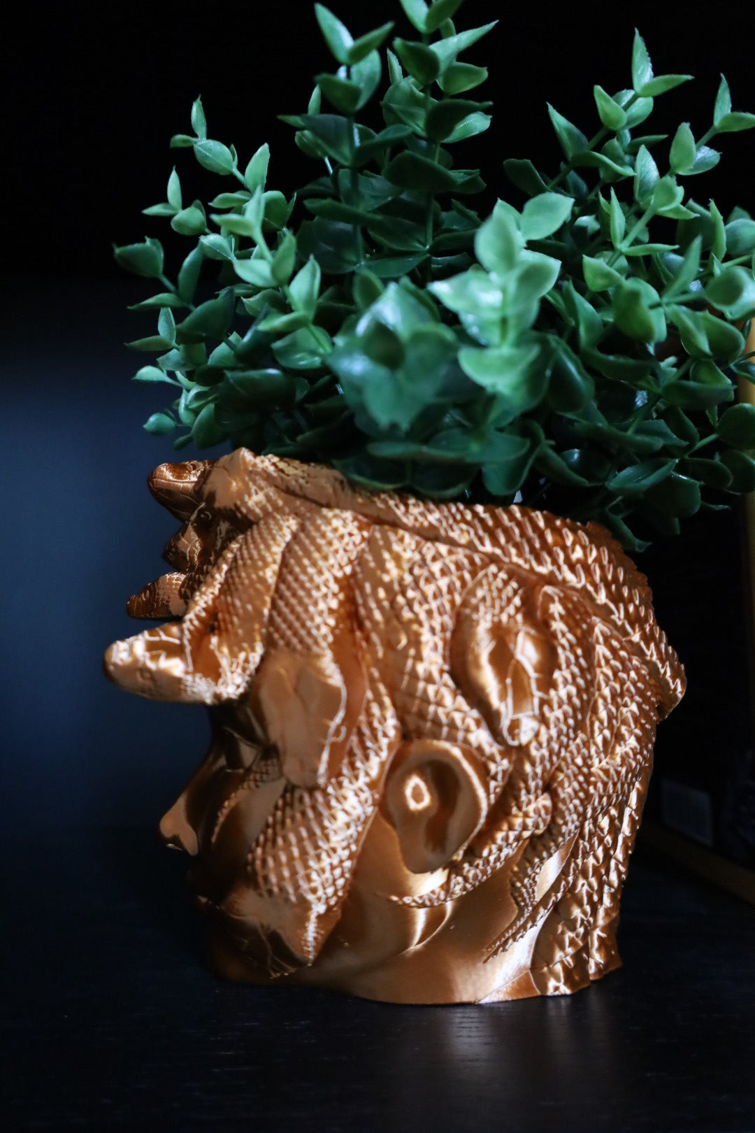 medusa plant pot Medusa Planters – Mayhem Made