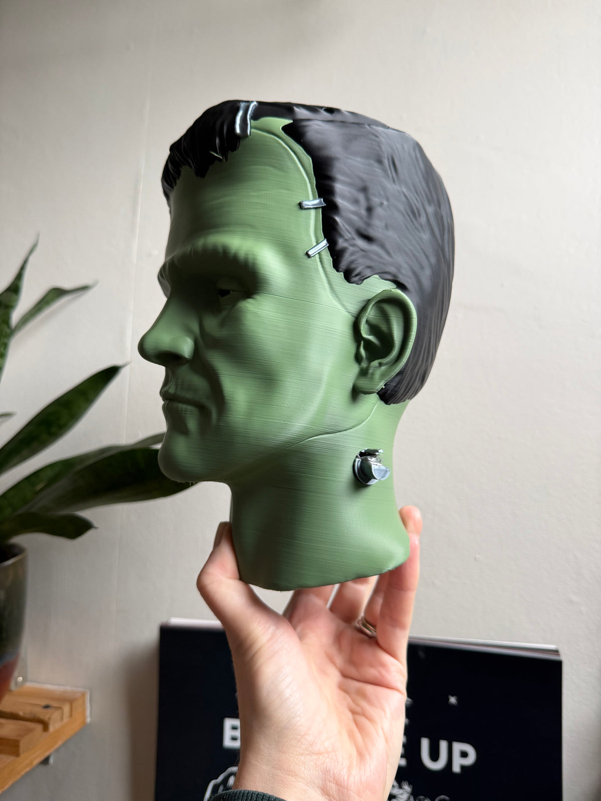 SECONDS #2001 - Frankenstein Hanging Planter