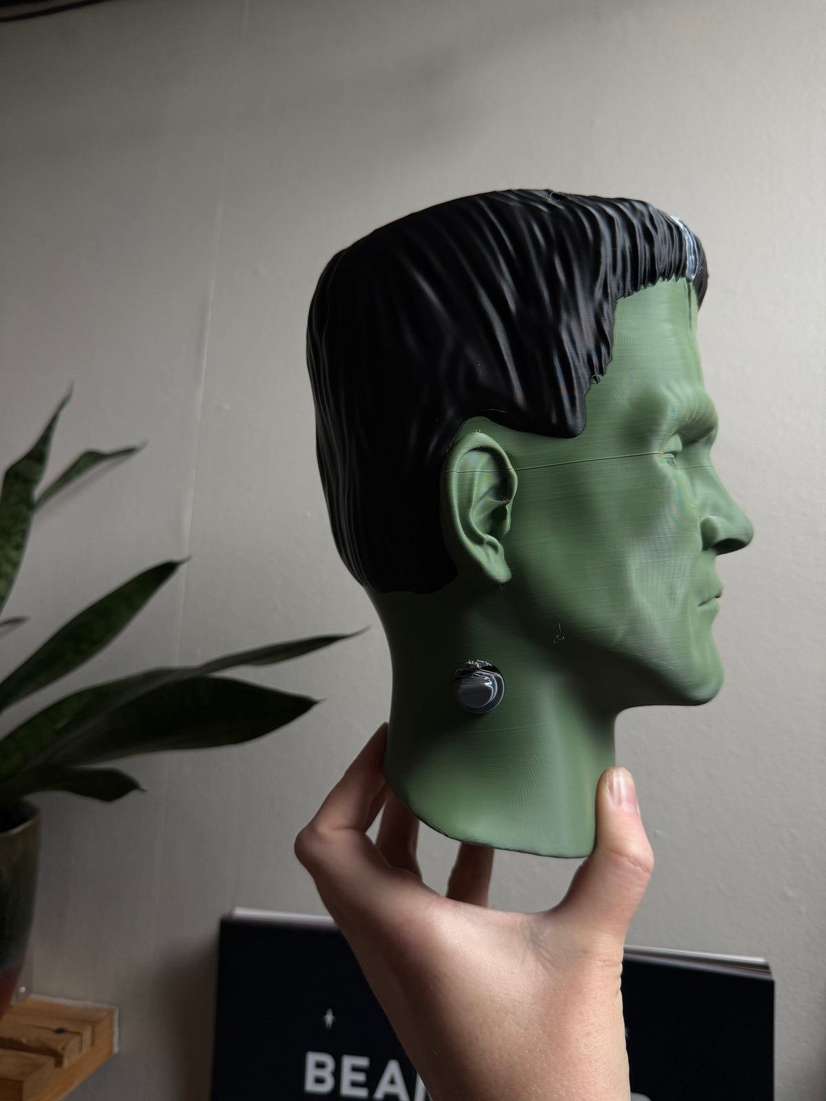 SECONDS #2001 - Frankenstein Hanging Planter