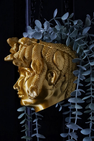 Medusa Hanging Planter