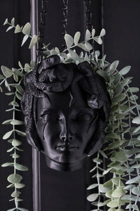 Medusa Hanging Planter