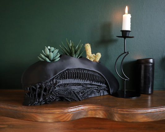 Alien horror plant pot holding 3 succulent plants
