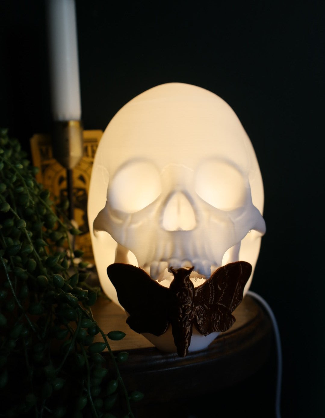 Death Hawk Moth Lamp