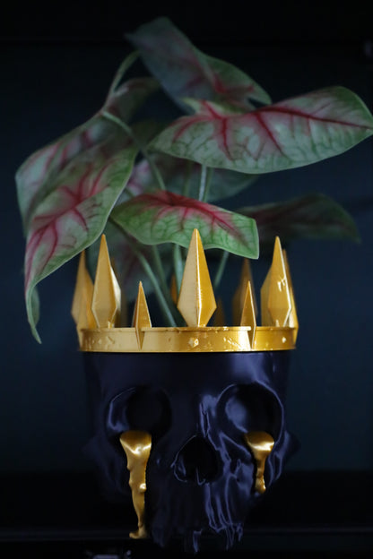 Black and gold skull planter to express your alt aesthetic