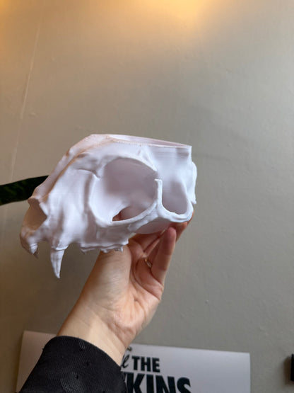 SECONDS #14 - WHITE CAT SKULL PLANTER - VARIOUS SMALL MARKS