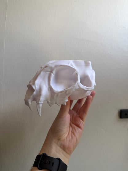 SECONDS #39 - White Cat Skull Planter