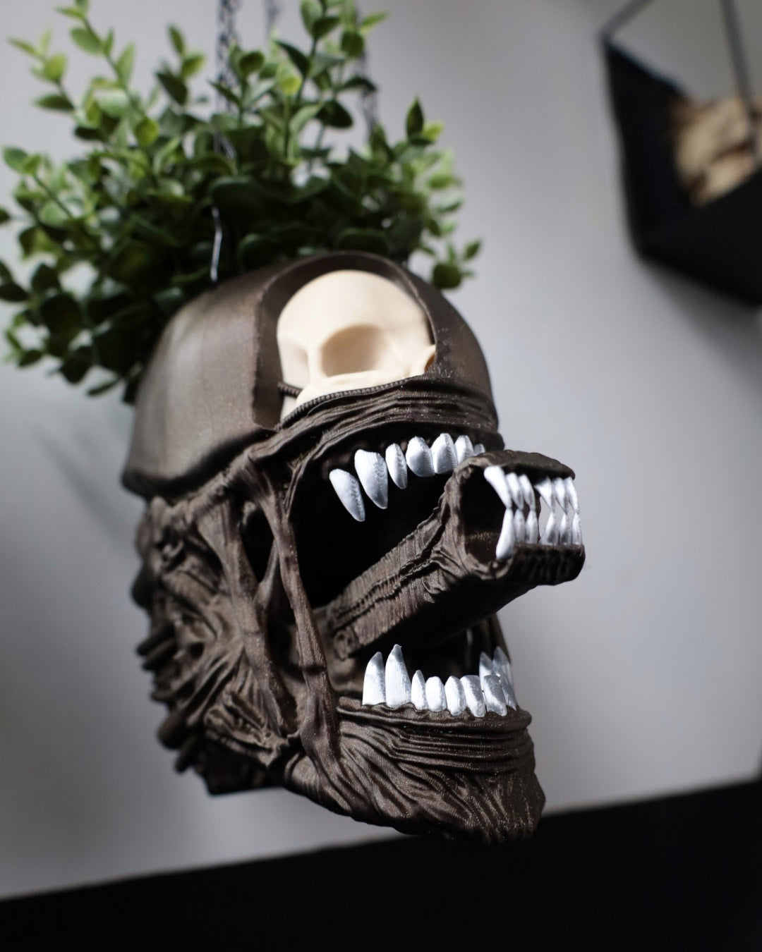 The Perfect Specimen Planters