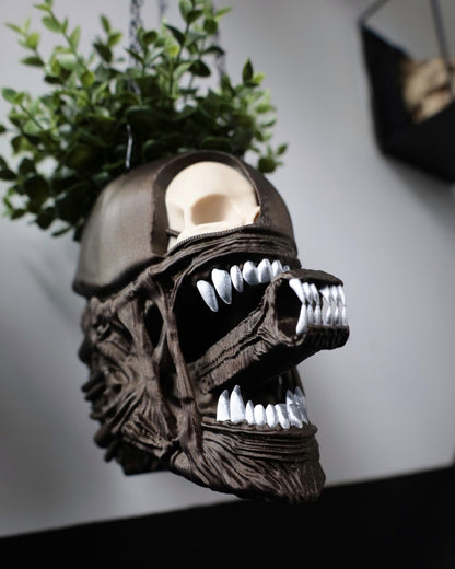 The Perfect Specimen Planters