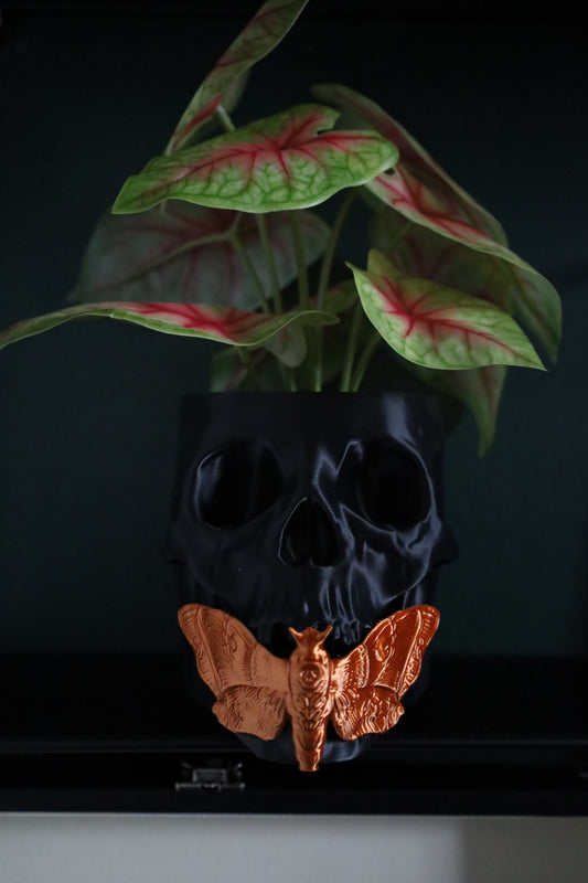 A black desk planter shaped like a skull with a copper coloured moth on the front, containing a green and pink leafy plant.