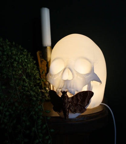 Death Hawk Moth Lamp