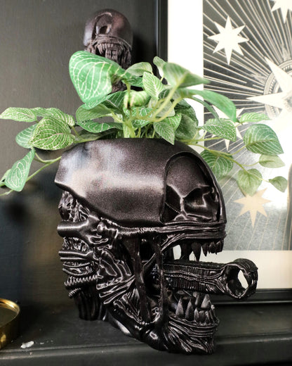 The Perfect Specimen Desk Planter