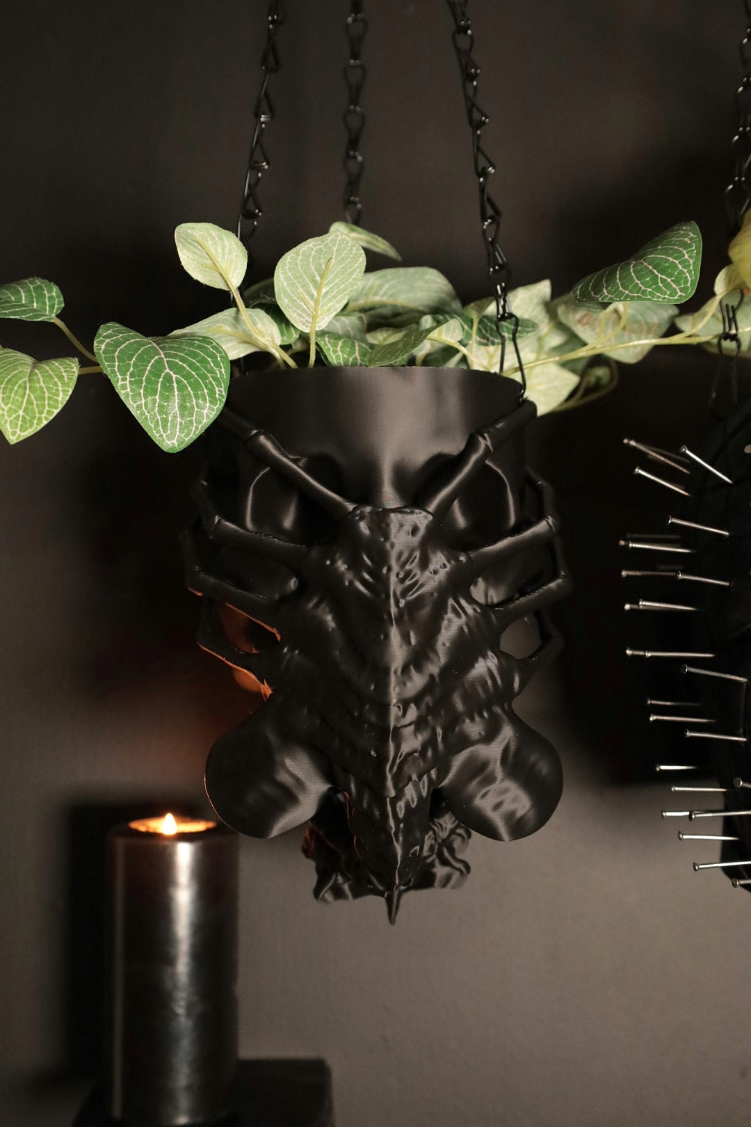Manumala Noxhydria (facehugger) Hanging Planter