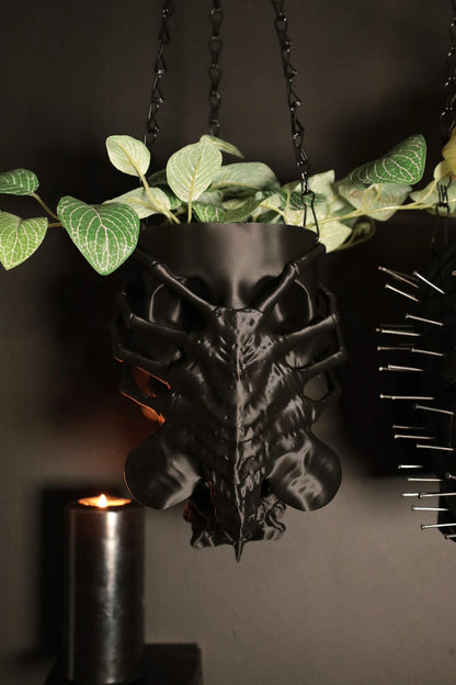 Manumala Noxhydria (facehugger) Hanging Planter