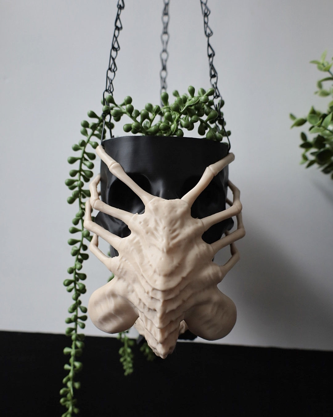 Facehugger Hanging Plant Pot inspired by the horror movie franchise aliens