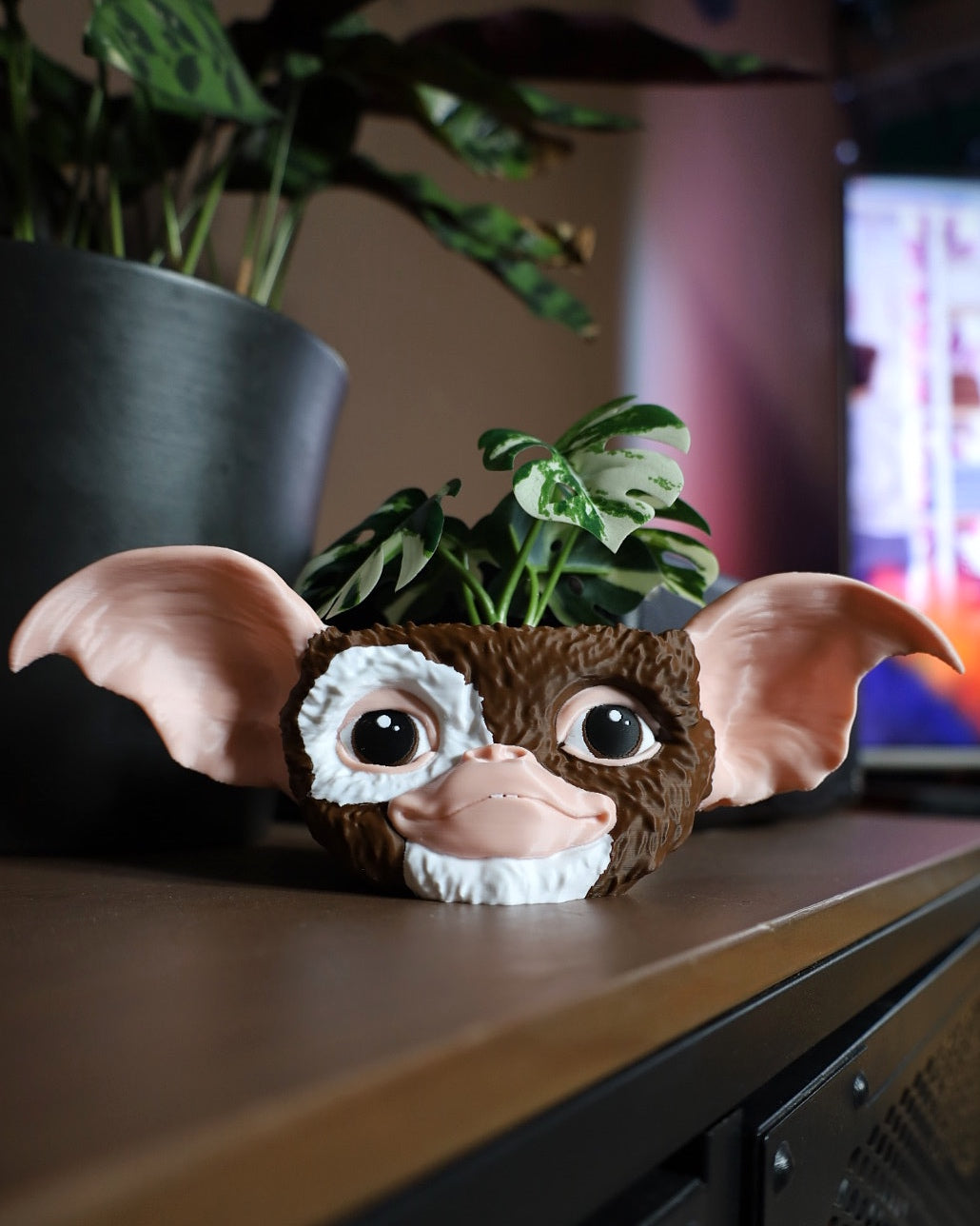 Gizmo plant pot from Gremlins on a surface with plants in the background