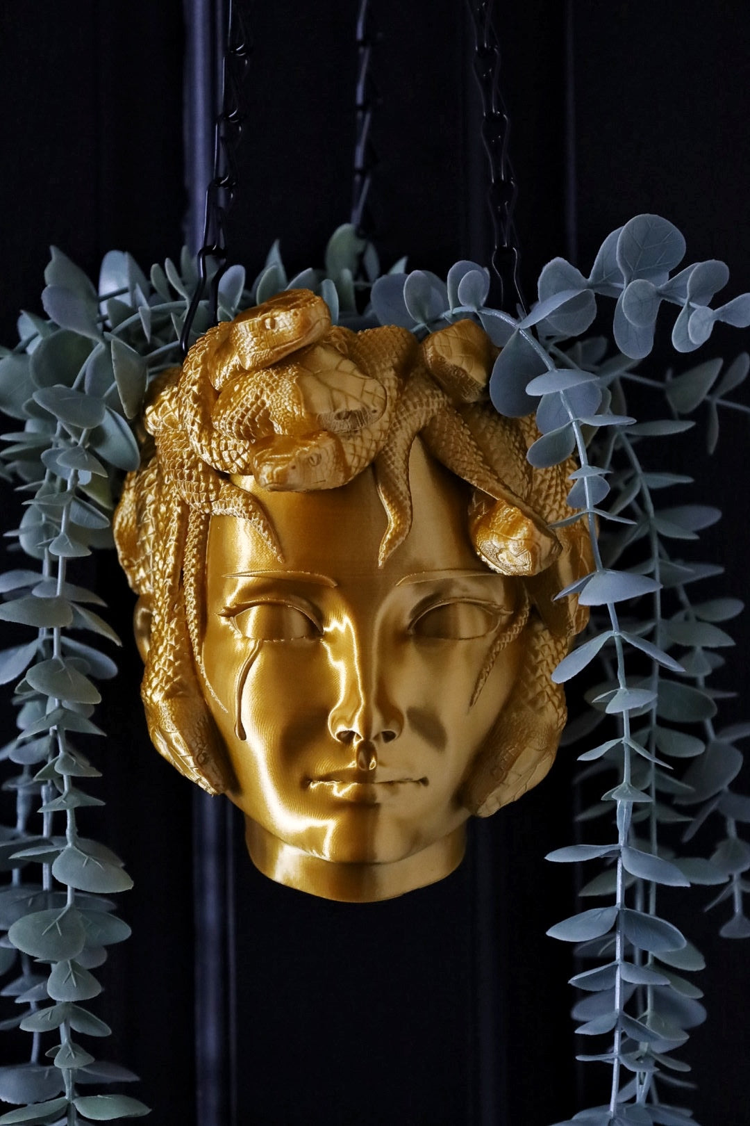 Medusa gold wall decor planter 