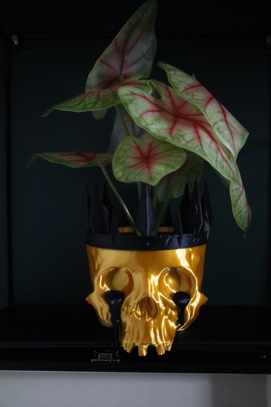 Gothic black and gold skull planter with crown