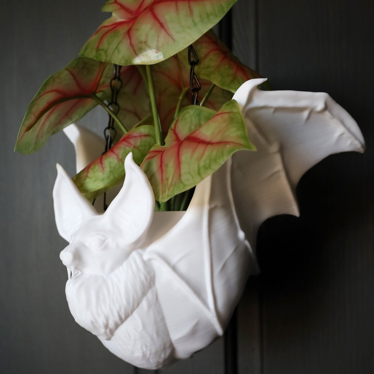 Bat Hanging Planter