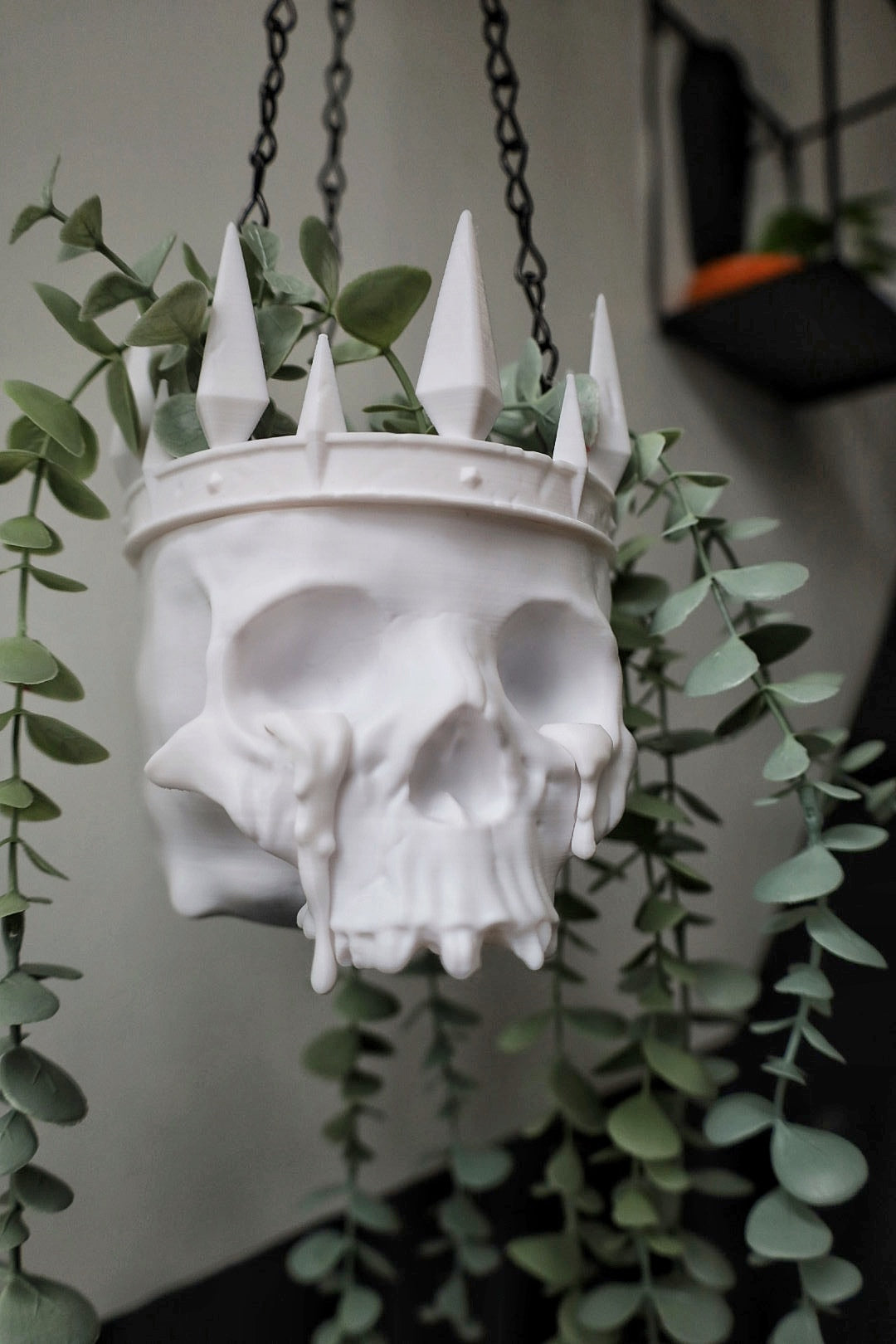 King Of Mayhem Hanging Planter