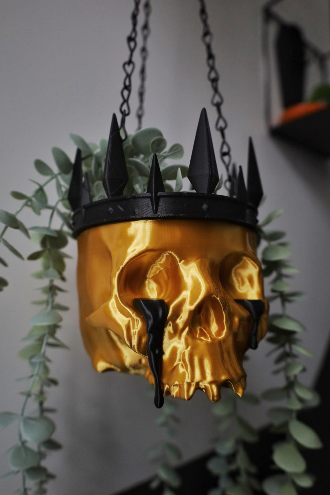 King Of Mayhem Hanging Planter