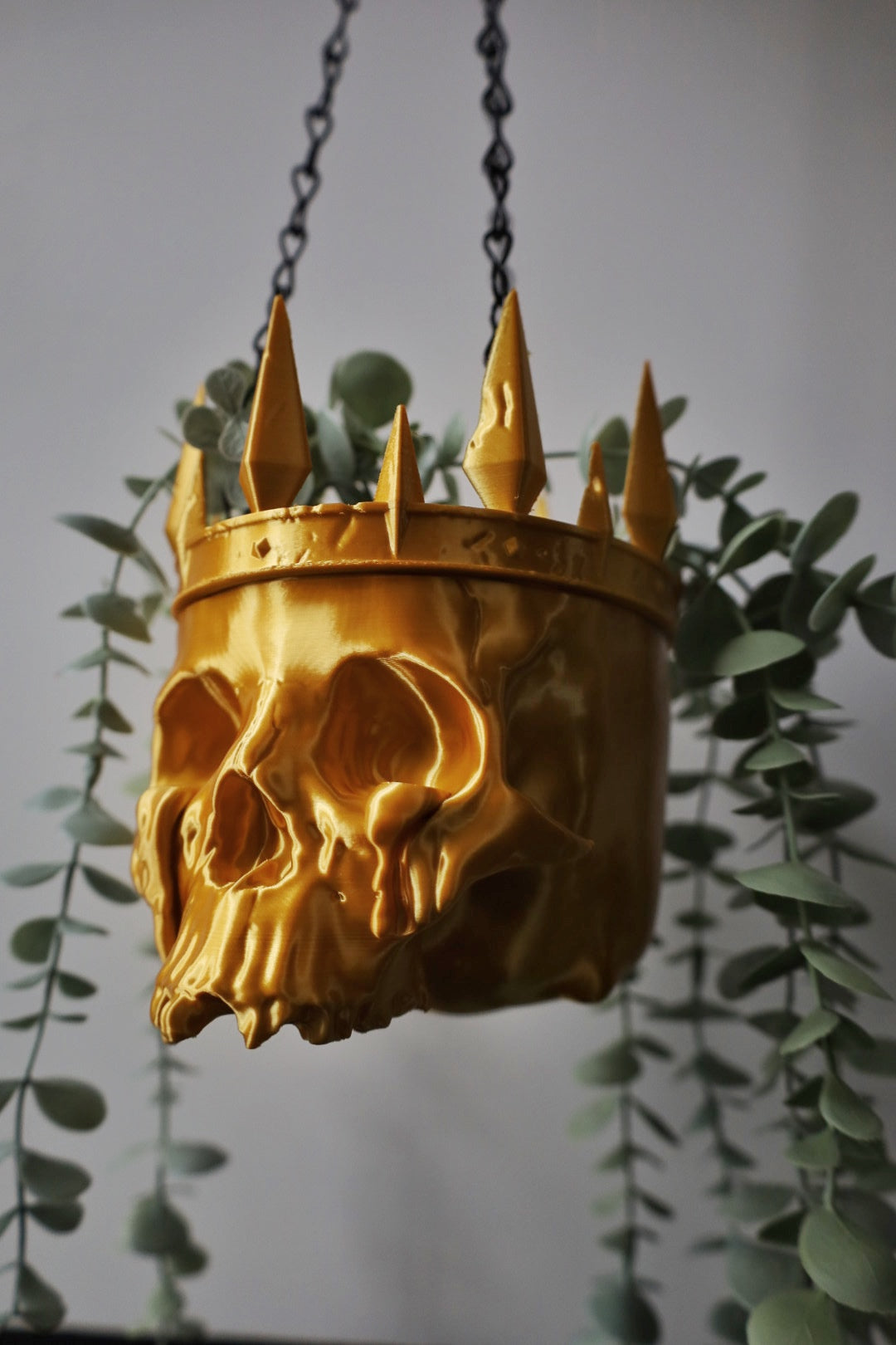 King Of Mayhem Hanging Planter