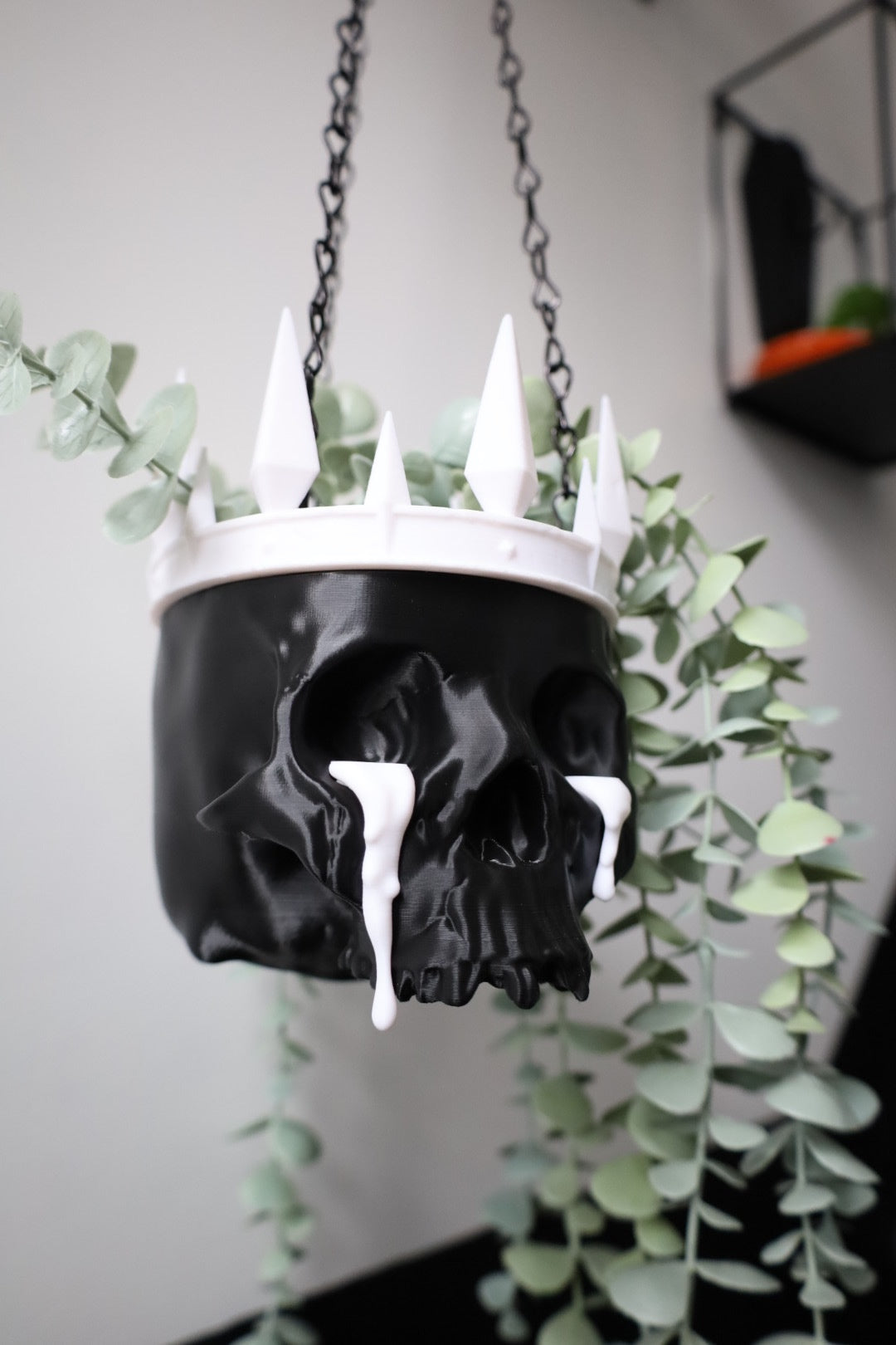 King Of Mayhem Hanging Planter