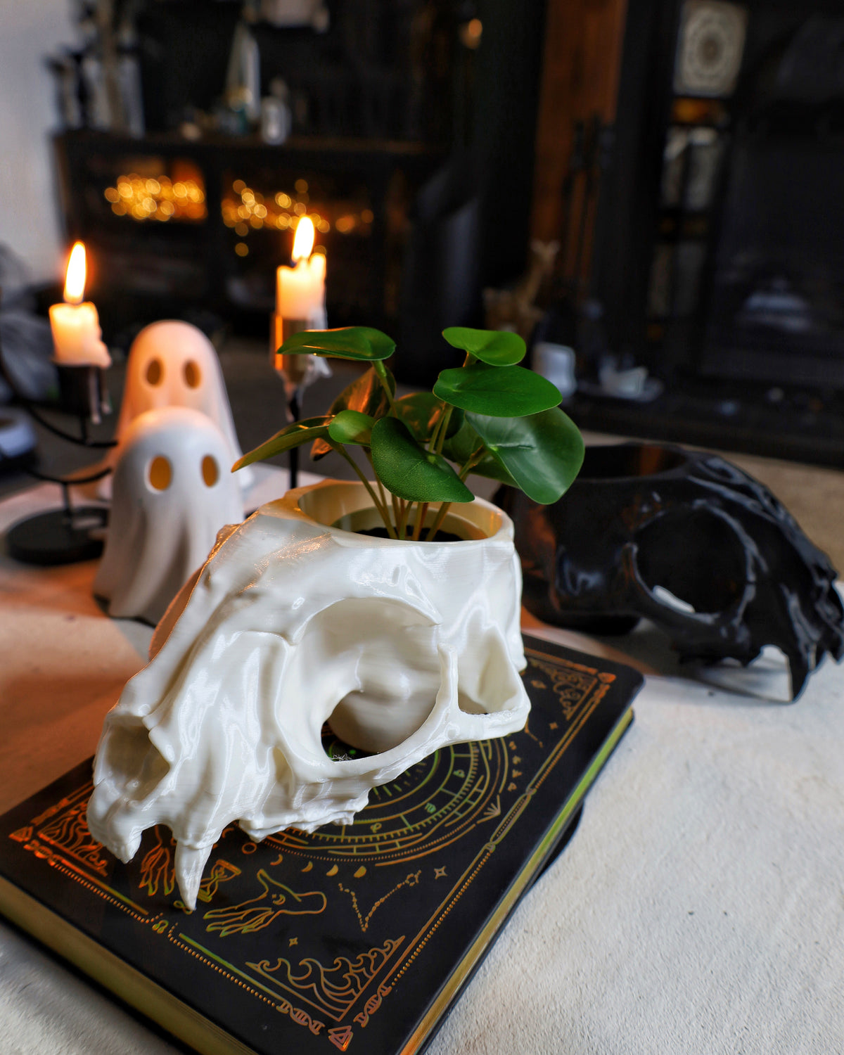 A white cat skull planter with a small green plant growing out of it. Gothic home decor