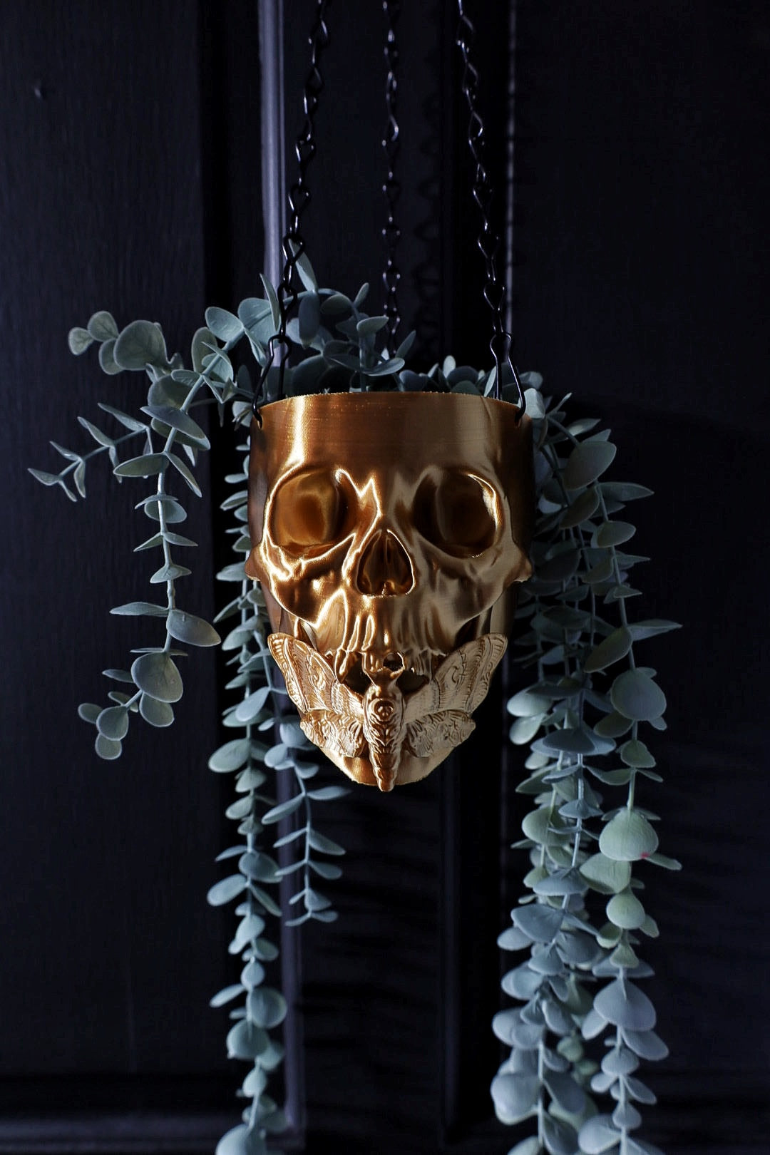 Death moth skull hanging planter, gothic home decor