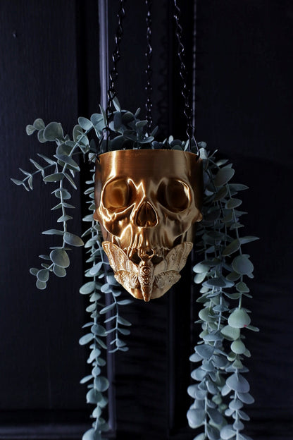 Death moth skull hanging planter, gothic home decor