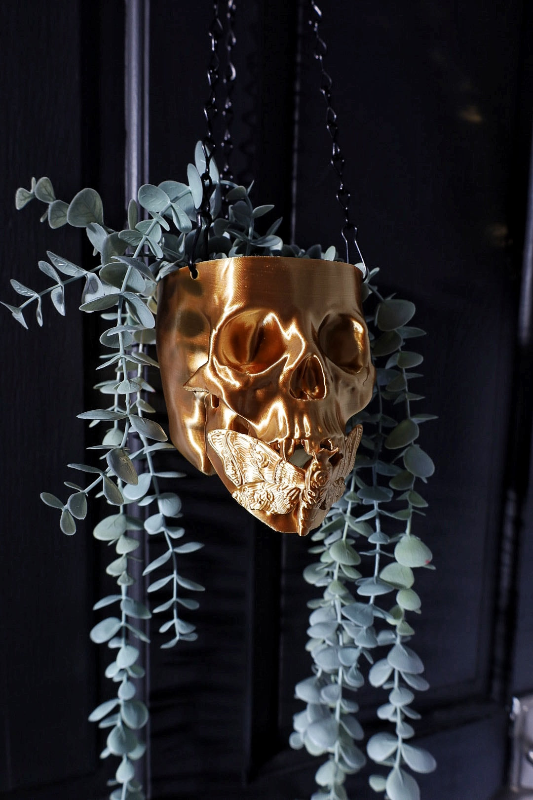 Black and gold death moth skull hanging planter for your gothic home decor