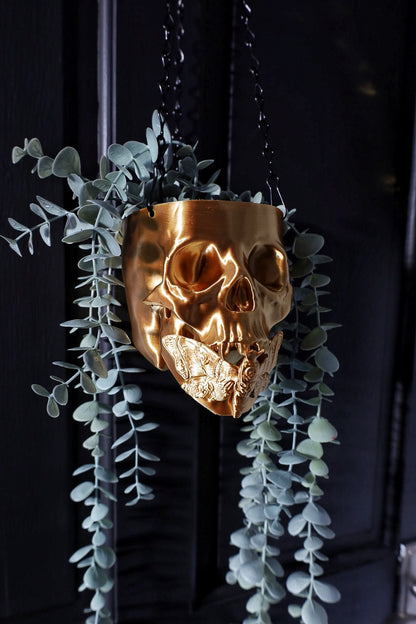 Black and gold death moth skull hanging planter for your gothic home decor